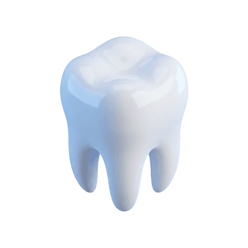 3D Tooth